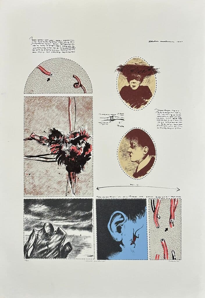 Estudios Anatómicos by Javier Campos Cabello - Silkscreen, 1988